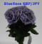 BlueRose GBP/JPY