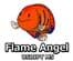 Flame Angel USDJPY M5
